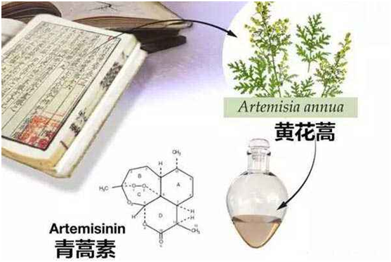 GUANGFA.COM广发体育(中国大陆)科技公司,：向中医药看齐，与世界共享中医药文化(图1)